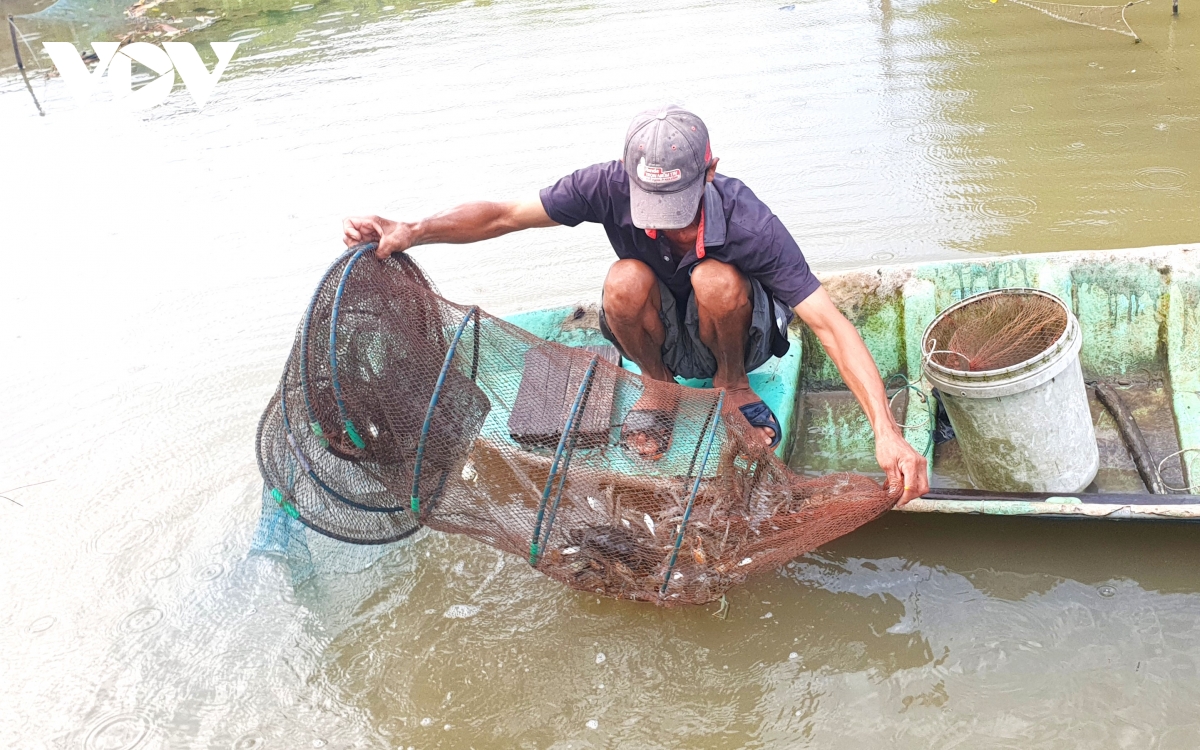 nối tiếp tinh thần cách mạng tiến công, cà mau tiến bước trong kỷ nguyên mới hình ảnh 6 noi tiep tinh than cach mang tien cong, ca mau tien buoc trong ky nguyen moi hinh anh 6