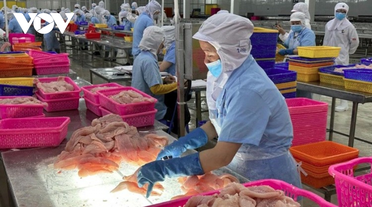 Tra fish exports sustain strong growth in first quarter