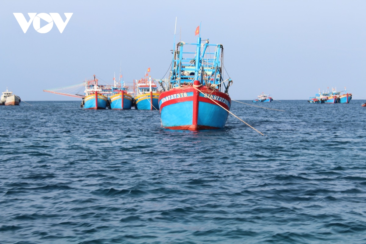 chìm tàu cá ở bình thuận, cứu sống 20 lao động, 2 người đang mất tích hình ảnh 1 chim tau ca o binh thuan, cuu song 20 lao dong, 2 nguoi dang mat tich hinh anh 1