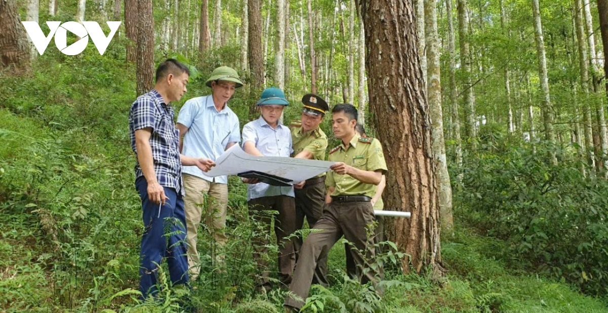 yên bái phòng chống cháy rừng cao điểm mùa khô hanh hình ảnh 1 yen bai phong chong chay rung cao diem mua kho hanh hinh anh 1