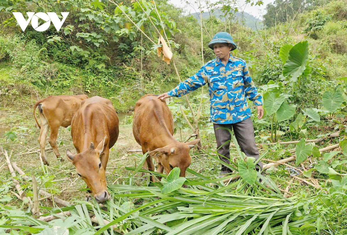 Giảm nghèo ở vùng biên giới Nam Giang, Quảng Nam