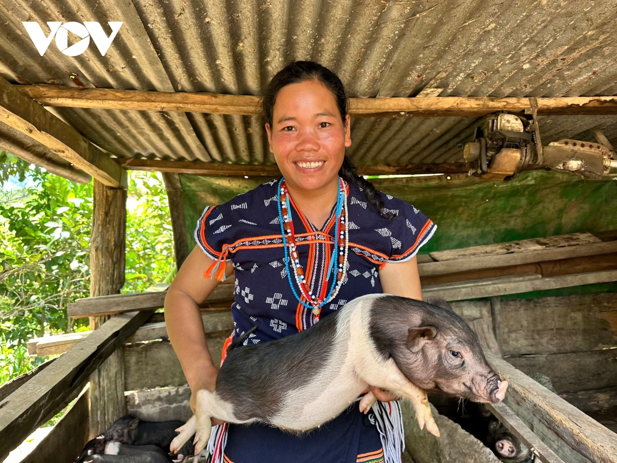 huyện nam giang, tỉnh quảng nam nâng cao chất lượng sinh hoạt chi bộ hình ảnh 1 huyen nam giang, tinh quang nam nang cao chat luong sinh hoat chi bo hinh anh 1
