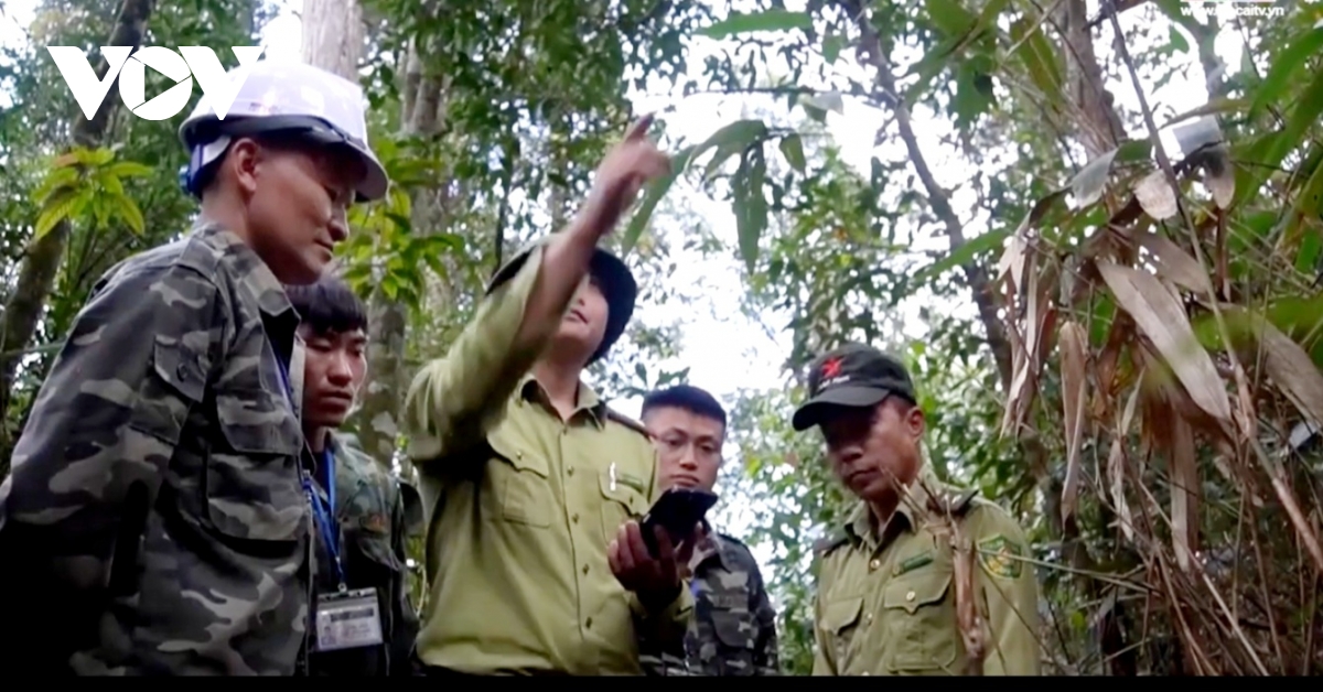lào cai yêu cầu không đốt nương khi cảnh báo nguy cơ cháy rừng ở cấp nguy hiểm hình ảnh 1 lao cai yeu cau khong dot nuong khi canh bao nguy co chay rung o cap nguy hiem hinh anh 1