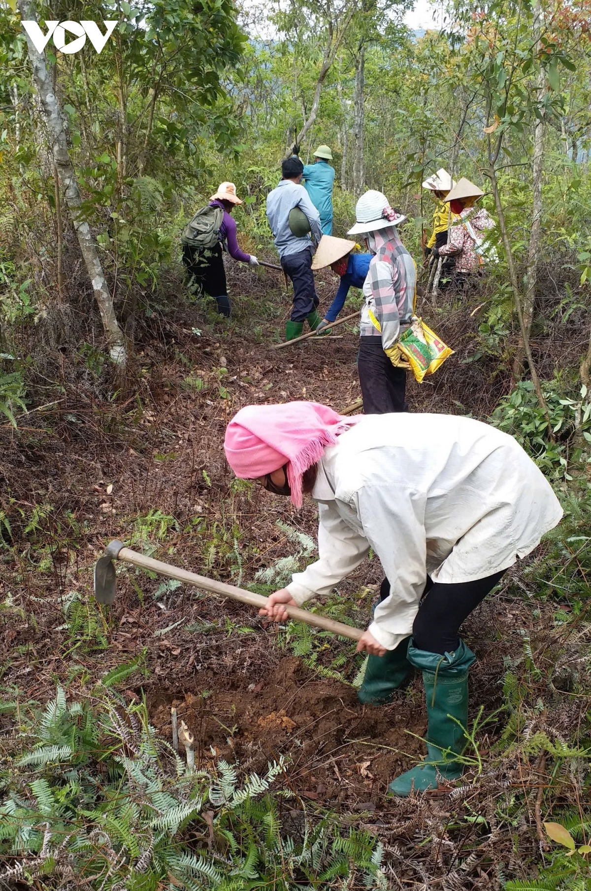 yên bái phòng chống cháy rừng cao điểm mùa khô hanh hình ảnh 3 yen bai phong chong chay rung cao diem mua kho hanh hinh anh 3