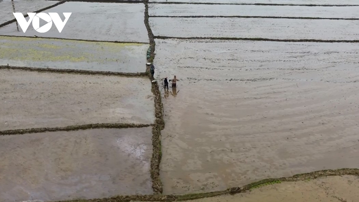 tìm sinh kế bền vững cho người dân làng nủ hình ảnh 3 tim sinh ke ben vung cho nguoi dan lang nu hinh anh 3