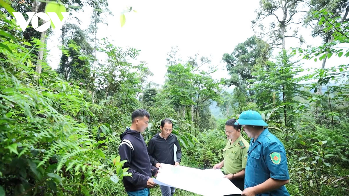 yên bái tăng cường bảo vệ rừng trong những ngày nắng nóng hình ảnh 2 yen bai tang cuong bao ve rung trong nhung ngay nang nong hinh anh 2
