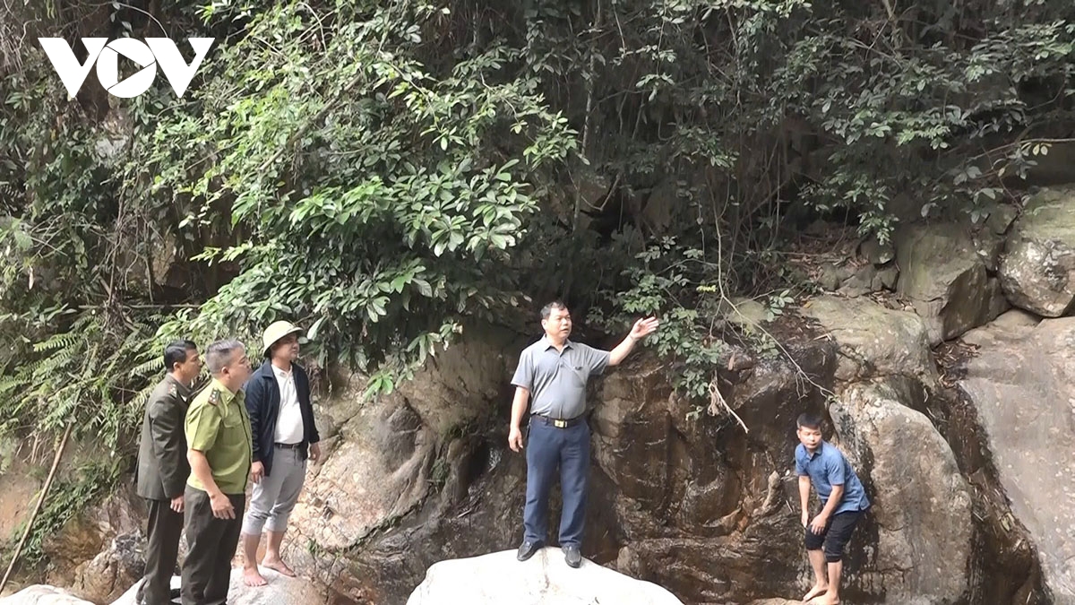 yên bái tăng cường bảo vệ rừng trong những ngày nắng nóng hình ảnh 4 yen bai tang cuong bao ve rung trong nhung ngay nang nong hinh anh 4