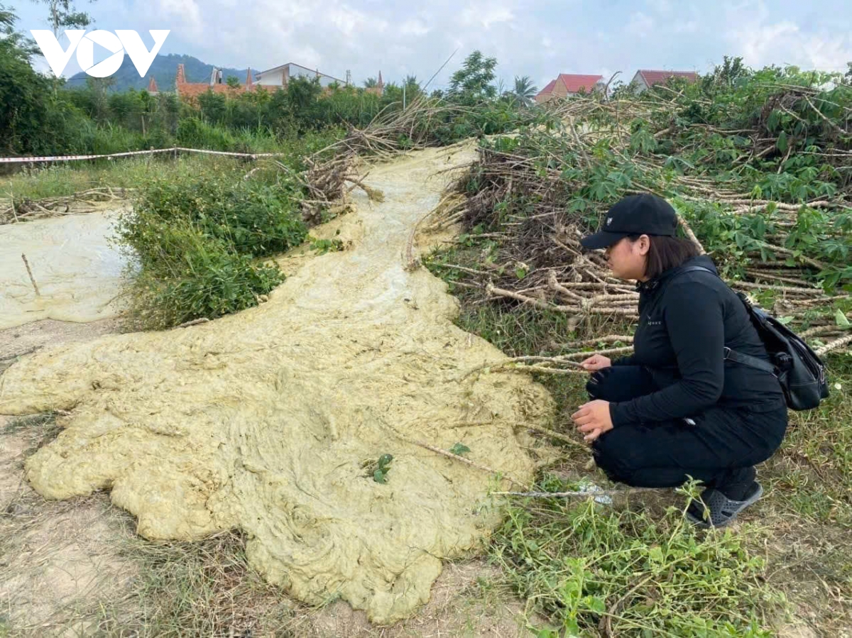 Xuất hiện tình trạng bùn trào lên từ lòng đất ở Phú Yên
