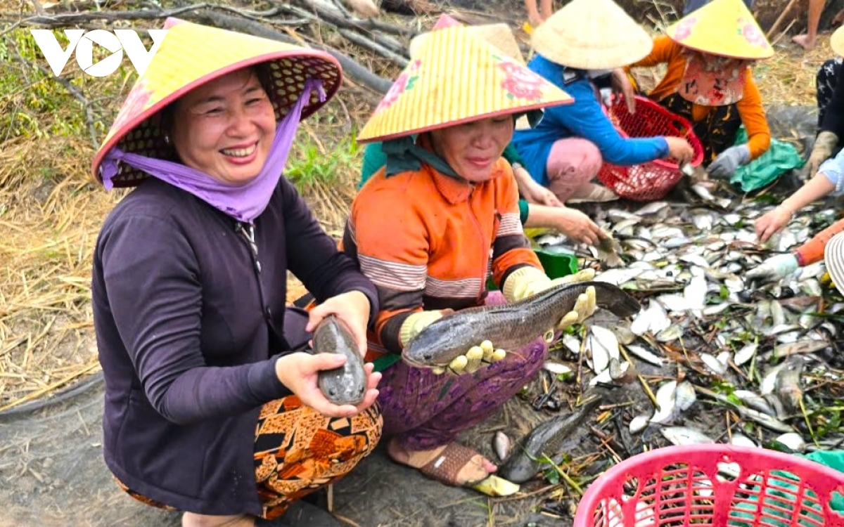 mùa khô, dân cà mau dùng lưới bắt hàng chục kg cá đồng hình ảnh 9 mua kho, dan ca mau dung luoi bat hang chuc kg ca dong hinh anh 9