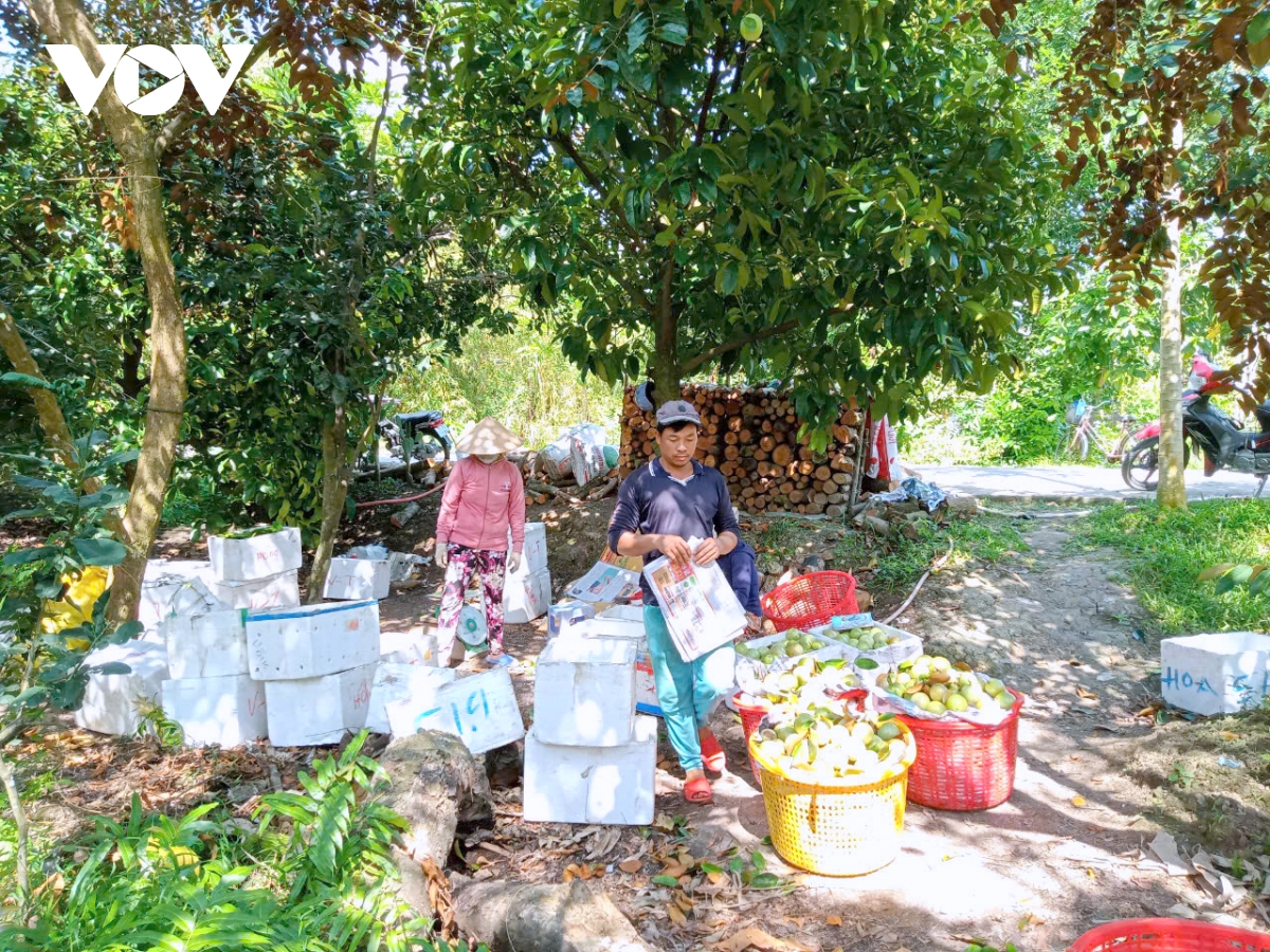 nông nghiệp vùng Đbscl khẳng định vị thế xuất khẩu hình ảnh 2 nong nghiep vung Dbscl khang dinh vi the xuat khau hinh anh 2