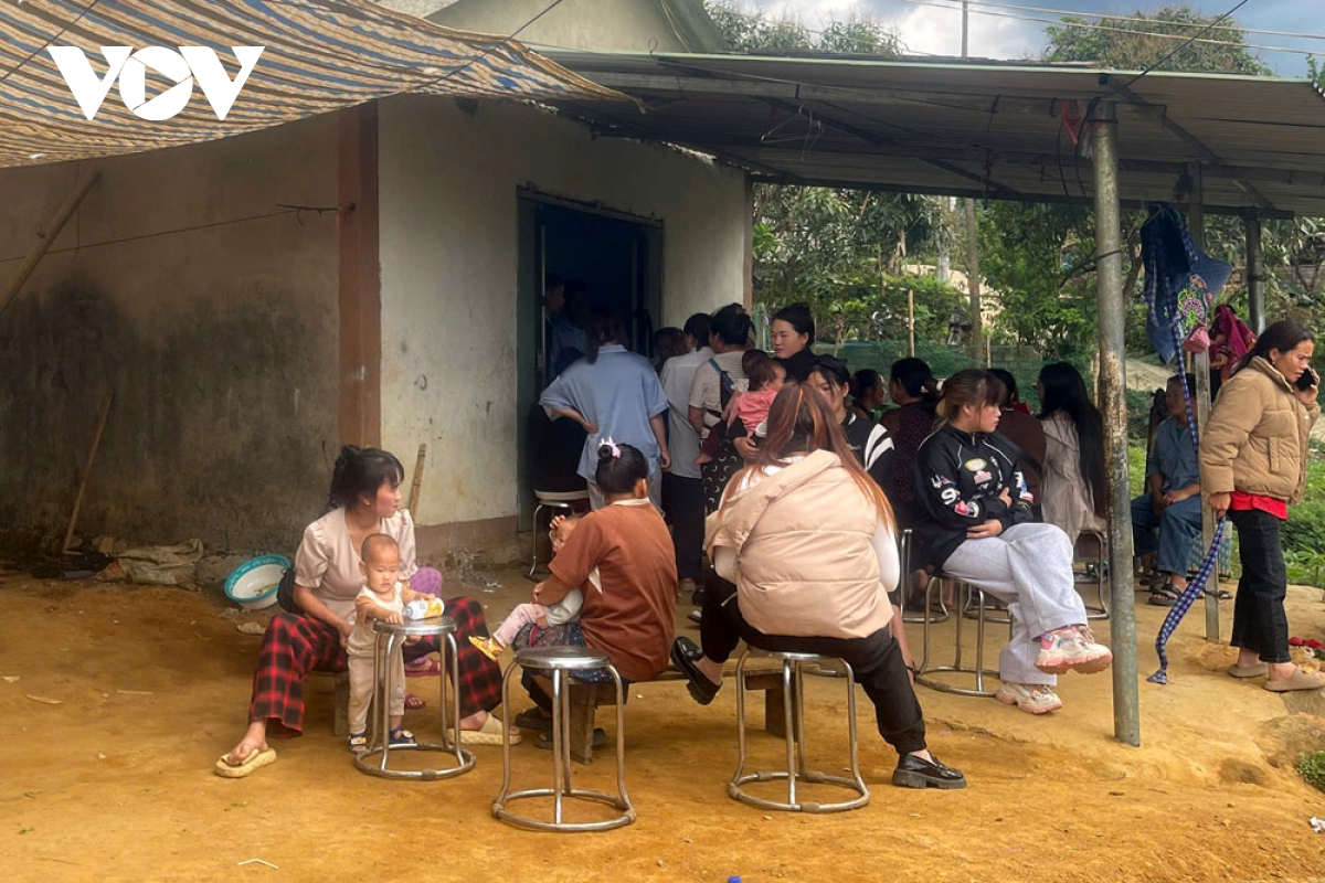 Một phụ nữ ở Lai Châu tử vong nghi ngộ độc do ăn nấm dại