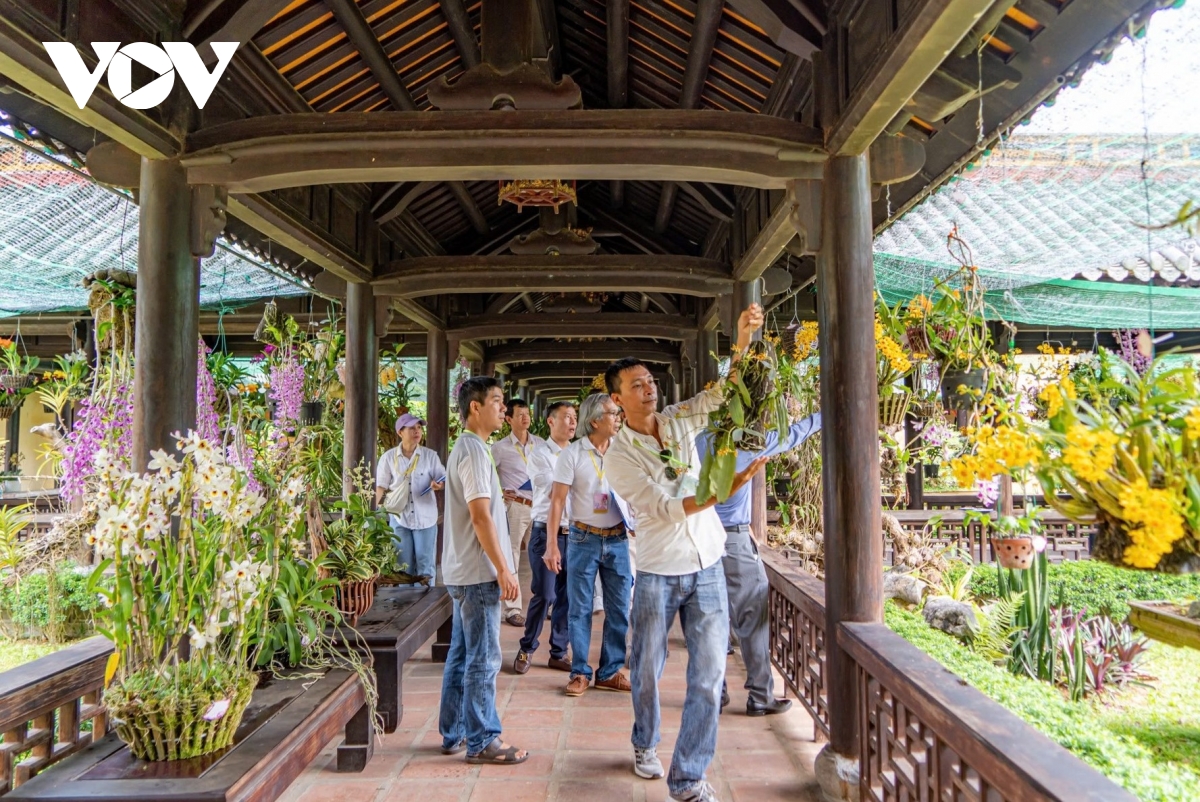 trình diễn hiệu ứng hỏa thuật và súng thần công dịp lễ 30 4 -1 5 tại tp. huế hình ảnh 3 trinh dien hieu ung hoa thuat va sung than cong dip le 30 4 -1 5 tai tp. hue hinh anh 3