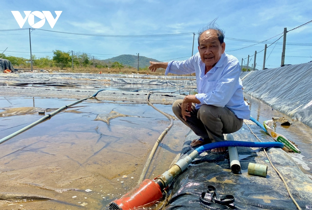 cơ giới hoá đưa nông nghiệp bà rịa - vũng tàu phát triển bền vững hình ảnh 2 co gioi hoa dua nong nghiep ba ria - vung tau phat trien ben vung hinh anh 2