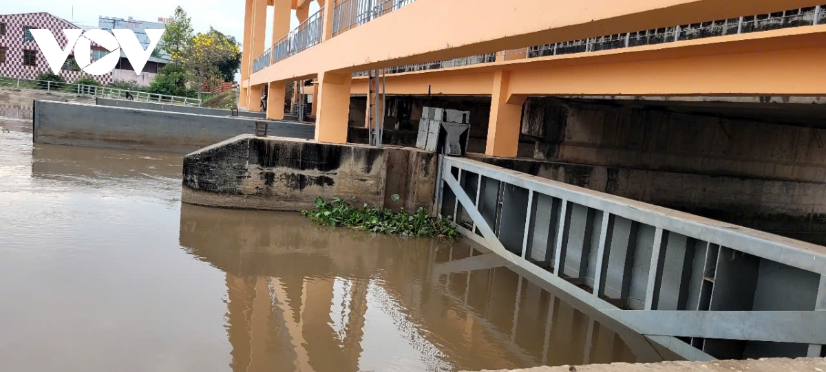 Nước mặn ở Tiền Giang giảm, mở cửa nhiều cống đập “đón” nước ngọt vào nội đồng
