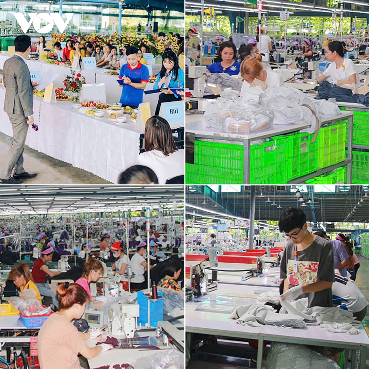 toàn cảnh tỉnh nam Định trước khi hợp nhất với ninh bình, hà nam hình ảnh 2 toan canh tinh nam Dinh truoc khi hop nhat voi ninh binh, ha nam hinh anh 2