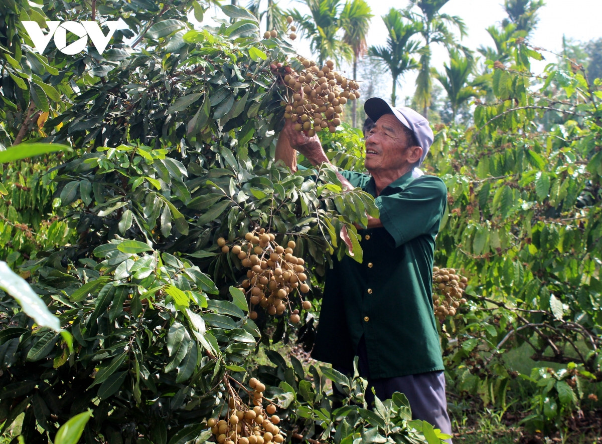 Những cựu chiến binh tích cực trên “mặt trận” kinh tế