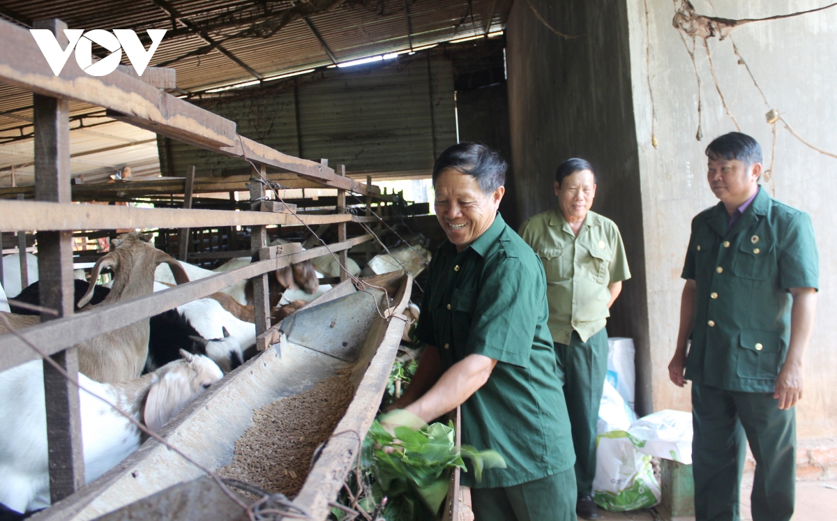 những cựu chiến binh tích cực trên mặt trận kinh tế hình ảnh 2 nhung cuu chien binh tich cuc tren mat tran kinh te hinh anh 2