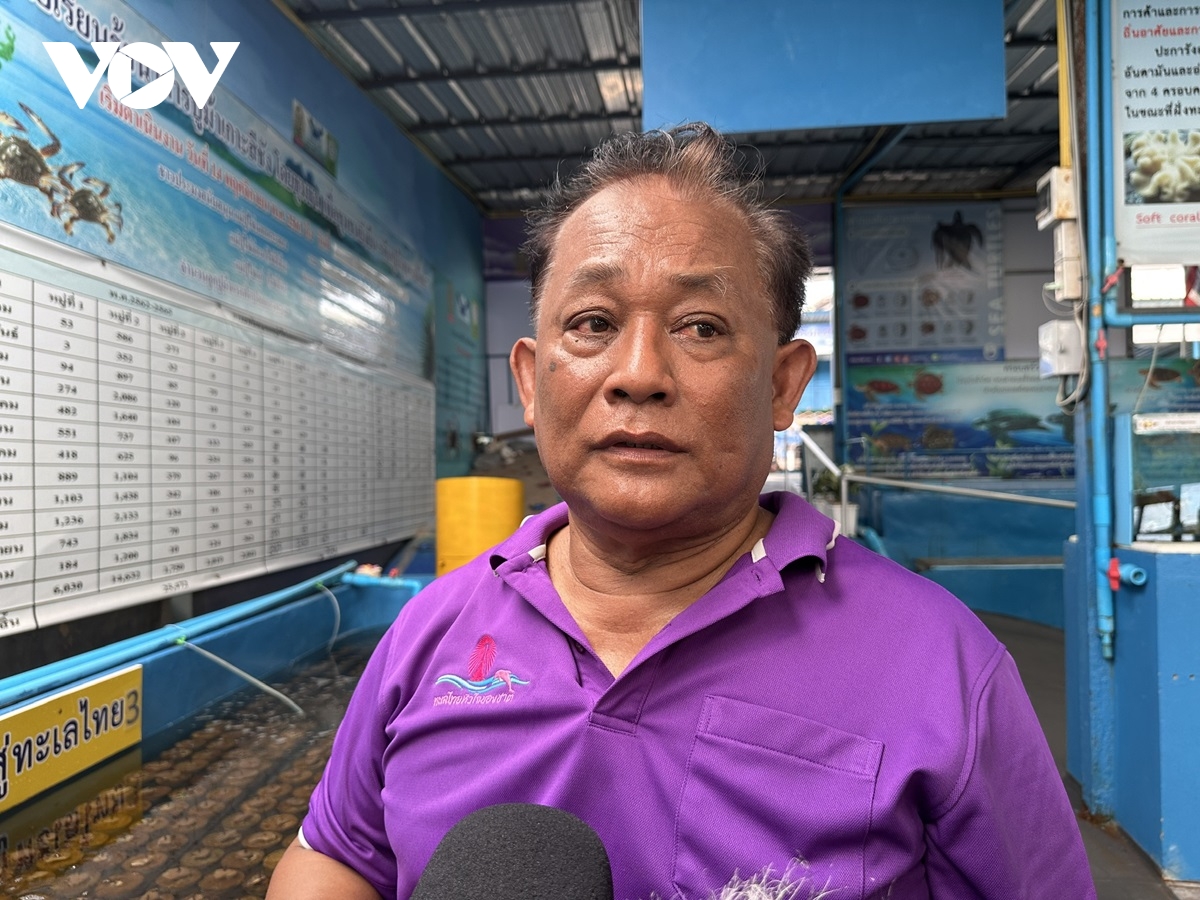 thái lan khôi phục tài nguyên và hệ sinh thái biển để ổn định sinh kế bền vững hình ảnh 2 thai lan khoi phuc tai nguyen va he sinh thai bien de on dinh sinh ke ben vung hinh anh 2