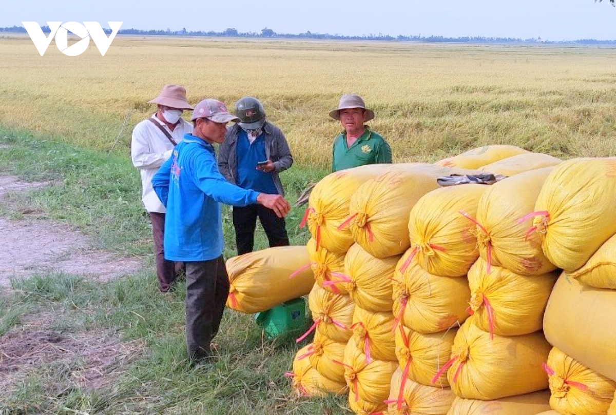 thay doi tu duy huong den nen nong nghiep ben vung hinh anh 7