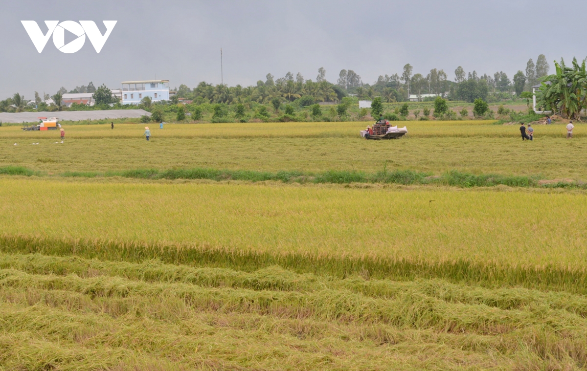 thay doi tu duy huong den nen nong nghiep ben vung hinh anh 4
