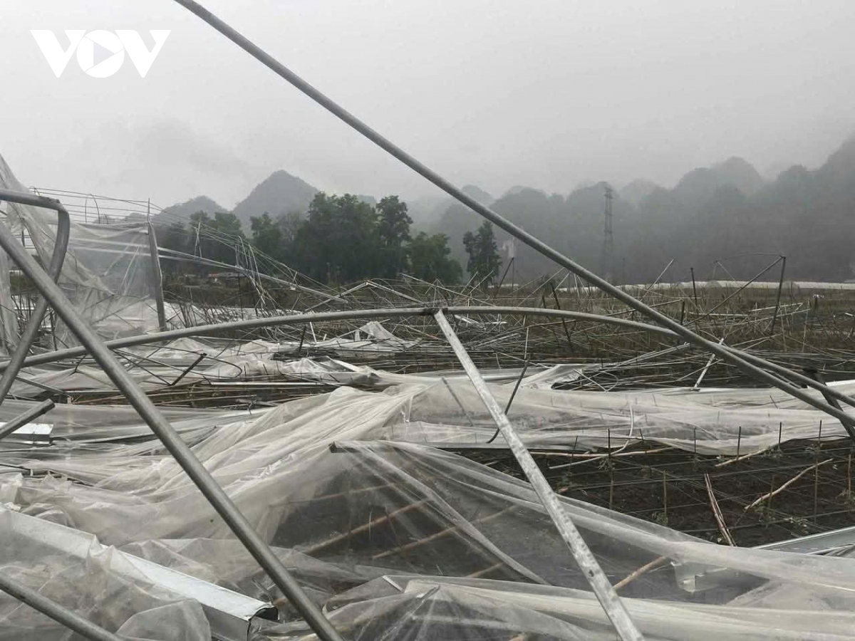 mưa đá, dông lốc gây ảnh hưởng đến sản xuất nông nghiệp ở sơn la hình ảnh 1 mua da, dong loc gay anh huong den san xuat nong nghiep o son la hinh anh 1