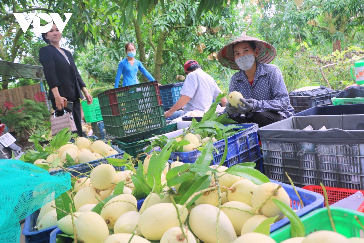 thay doi tu duy huong den nen nong nghiep ben vung hinh anh 3
