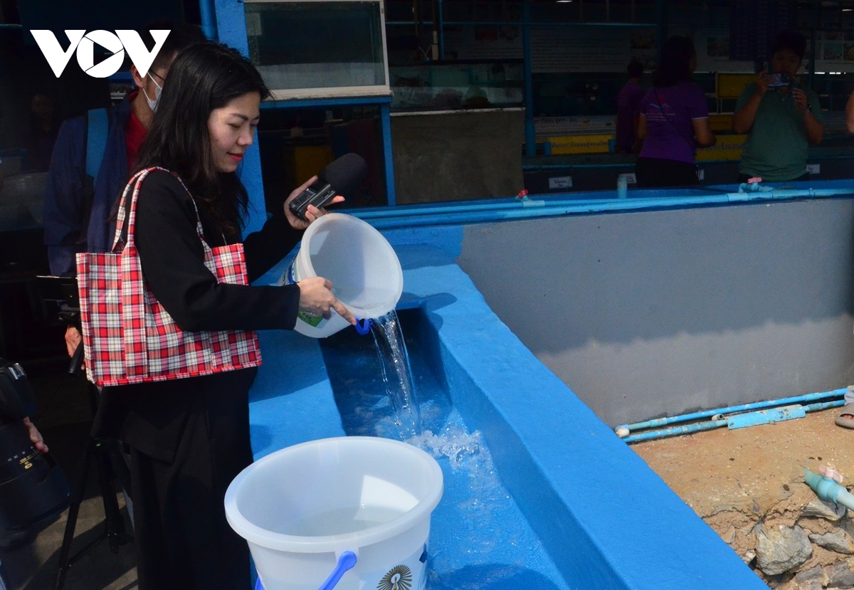 thái lan bảo tồn ghẹ xanh, cải thiện sinh kế cho người dân ở đảo koh si-chang hình ảnh 4 thai lan bao ton ghe xanh, cai thien sinh ke cho nguoi dan o dao koh si-chang hinh anh 4