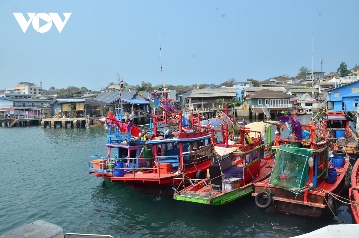 Thái Lan bảo tồn ghẹ xanh, cải thiện sinh kế cho người dân ở đảo Koh Si-chang