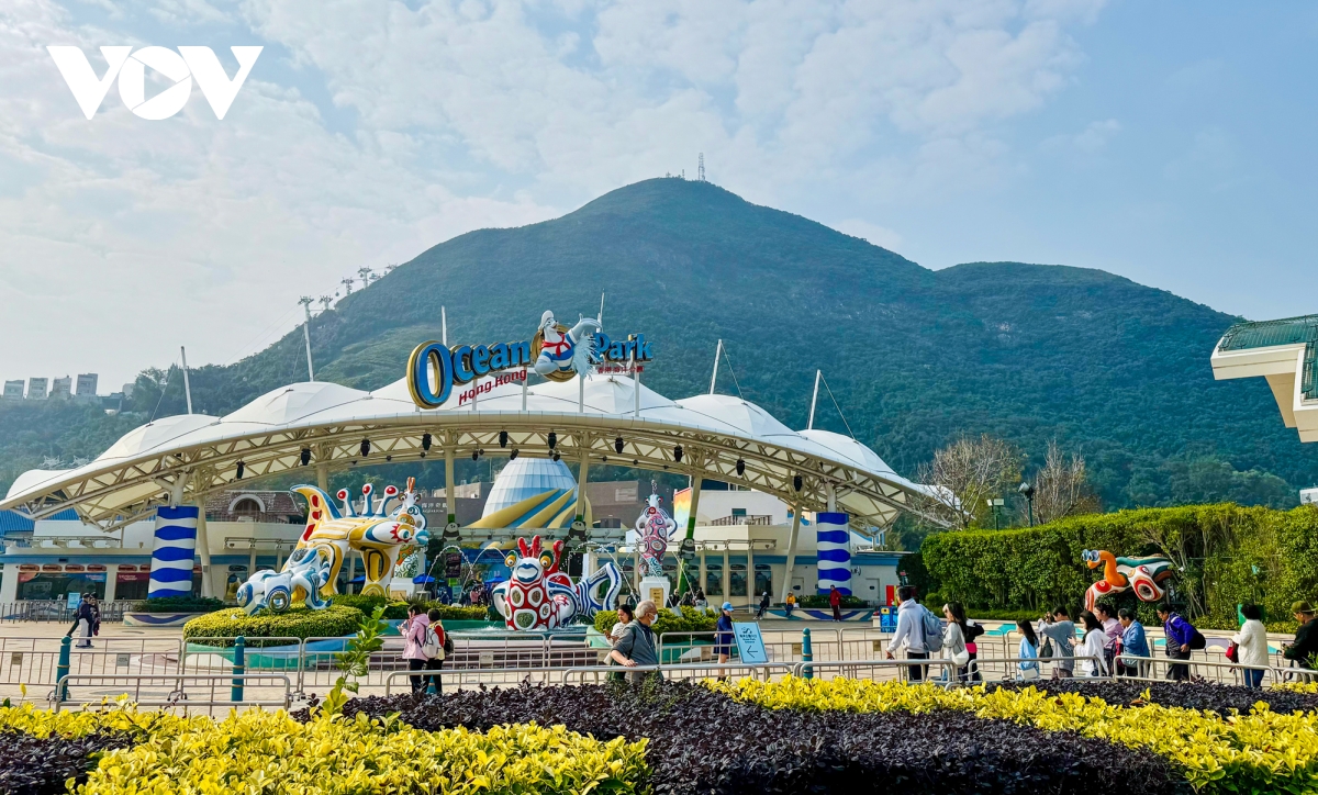 nhung diem check-in khong the bo qua khi toi hong kong trung quoc hinh anh 4