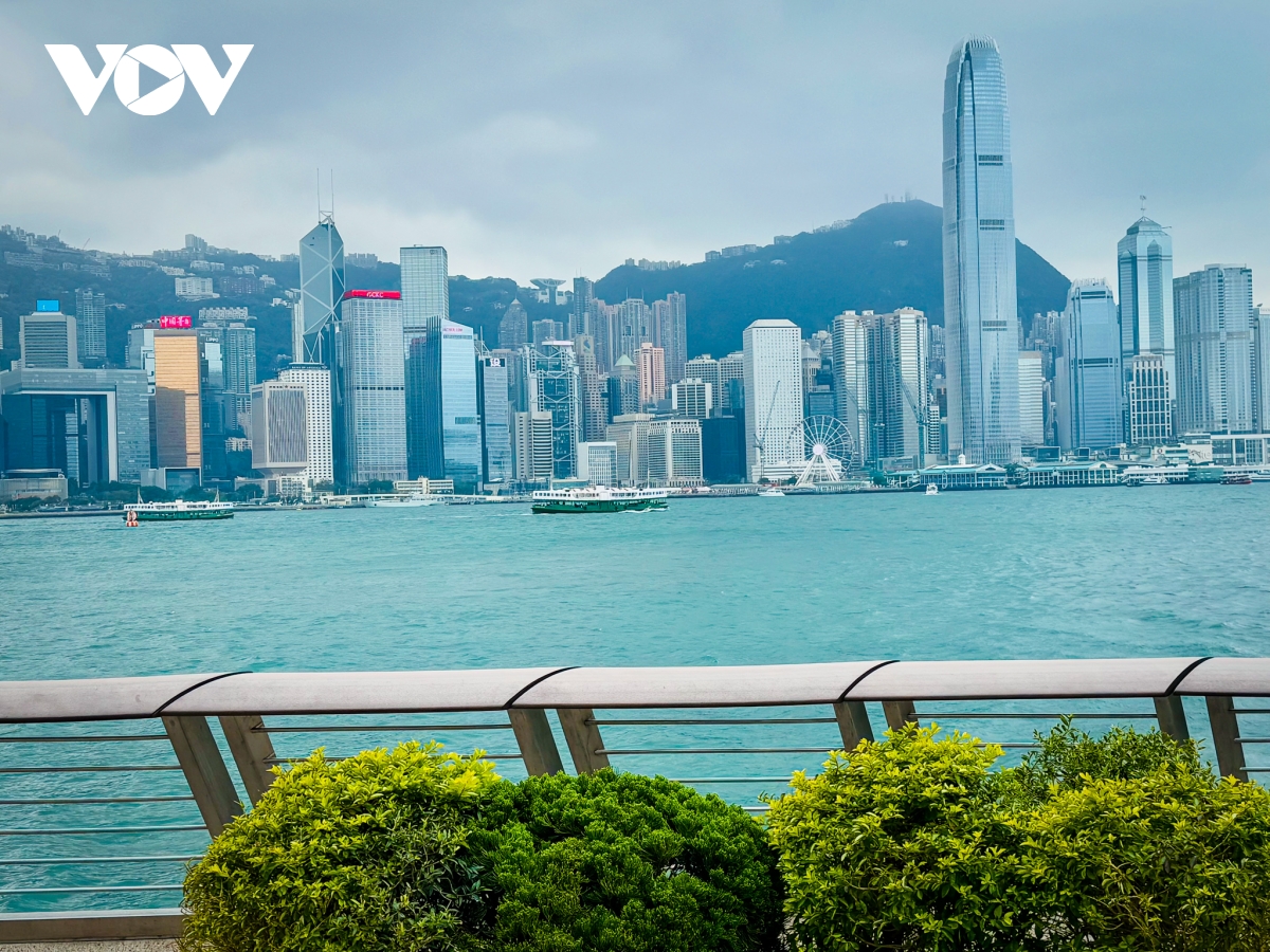 nhung diem check-in khong the bo qua khi toi hong kong trung quoc hinh anh 1