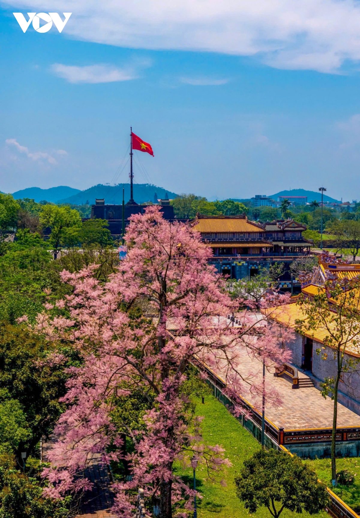 ngắm vương giả chi hoa khoe sắc trong quần thể di tích cố đô huế hình ảnh 5 ngam vuong gia chi hoa khoe sac trong quan the di tich co do hue hinh anh 5