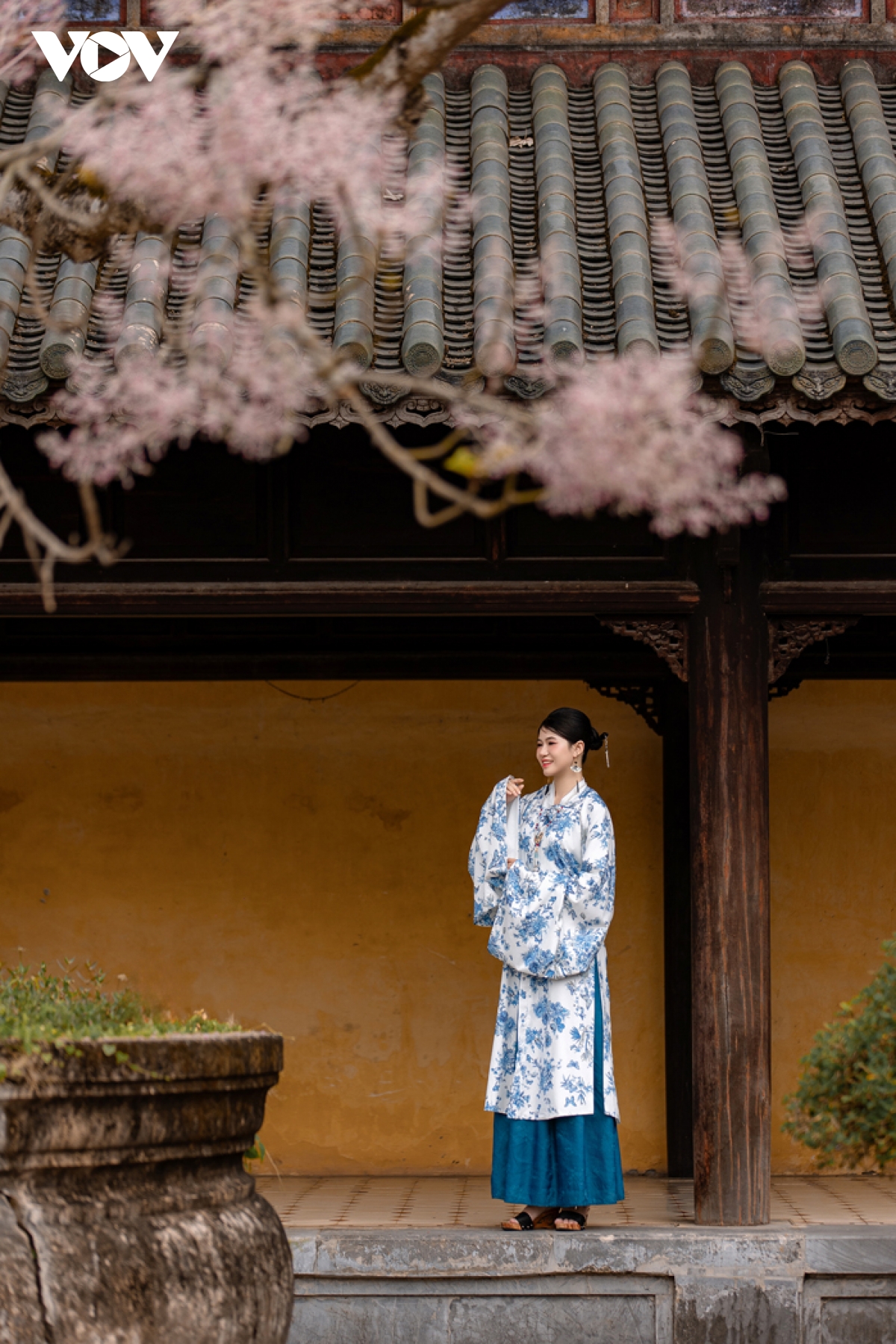 ngắm vương giả chi hoa khoe sắc trong quần thể di tích cố đô huế hình ảnh 10 ngam vuong gia chi hoa khoe sac trong quan the di tich co do hue hinh anh 10