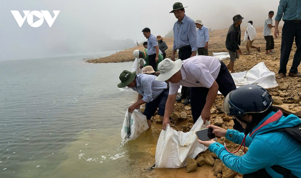quảng ngãi triển khai nhiều giải pháp bảo vệ nguồn lợi thủy sản hình ảnh 3 quang ngai trien khai nhieu giai phap bao ve nguon loi thuy san hinh anh 3