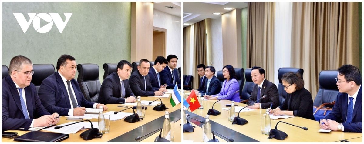 pho thu tuong tran hong ha hoi dam voi pho thu tuong uzbekistan hinh anh 2