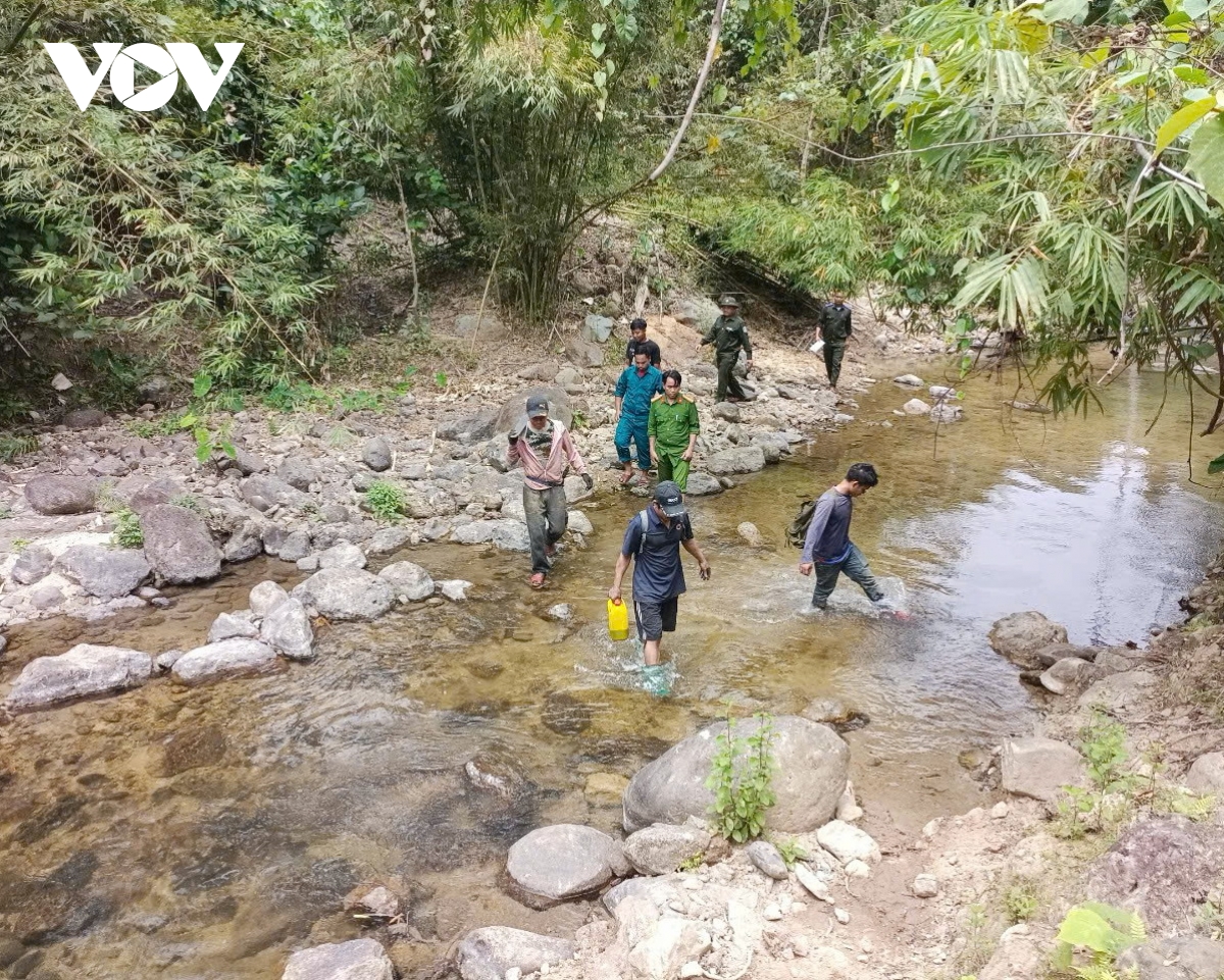 huyện miền núi nam giang chủ động phòng chống, cháy rừng hình ảnh 3 huyen mien nui nam giang chu dong phong chong, chay rung hinh anh 3