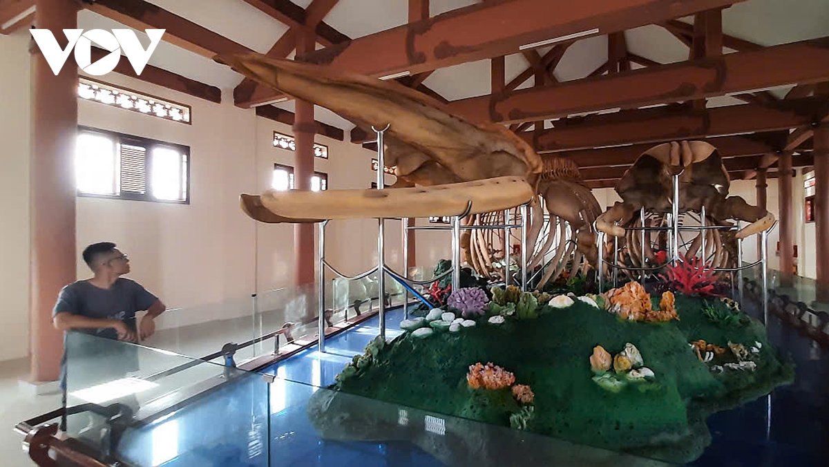 vì sao lý sơn hoang sơ, yên bình luôn là điểm đến hút du khách trong mùa du lịch biển hình ảnh 11 vi sao ly son hoang so, yen binh luon la diem den hut du khach trong mua du lich bien hinh anh 11
