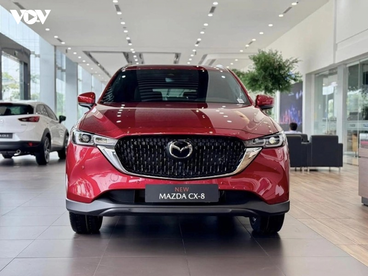mazda_cx8_2.jpg