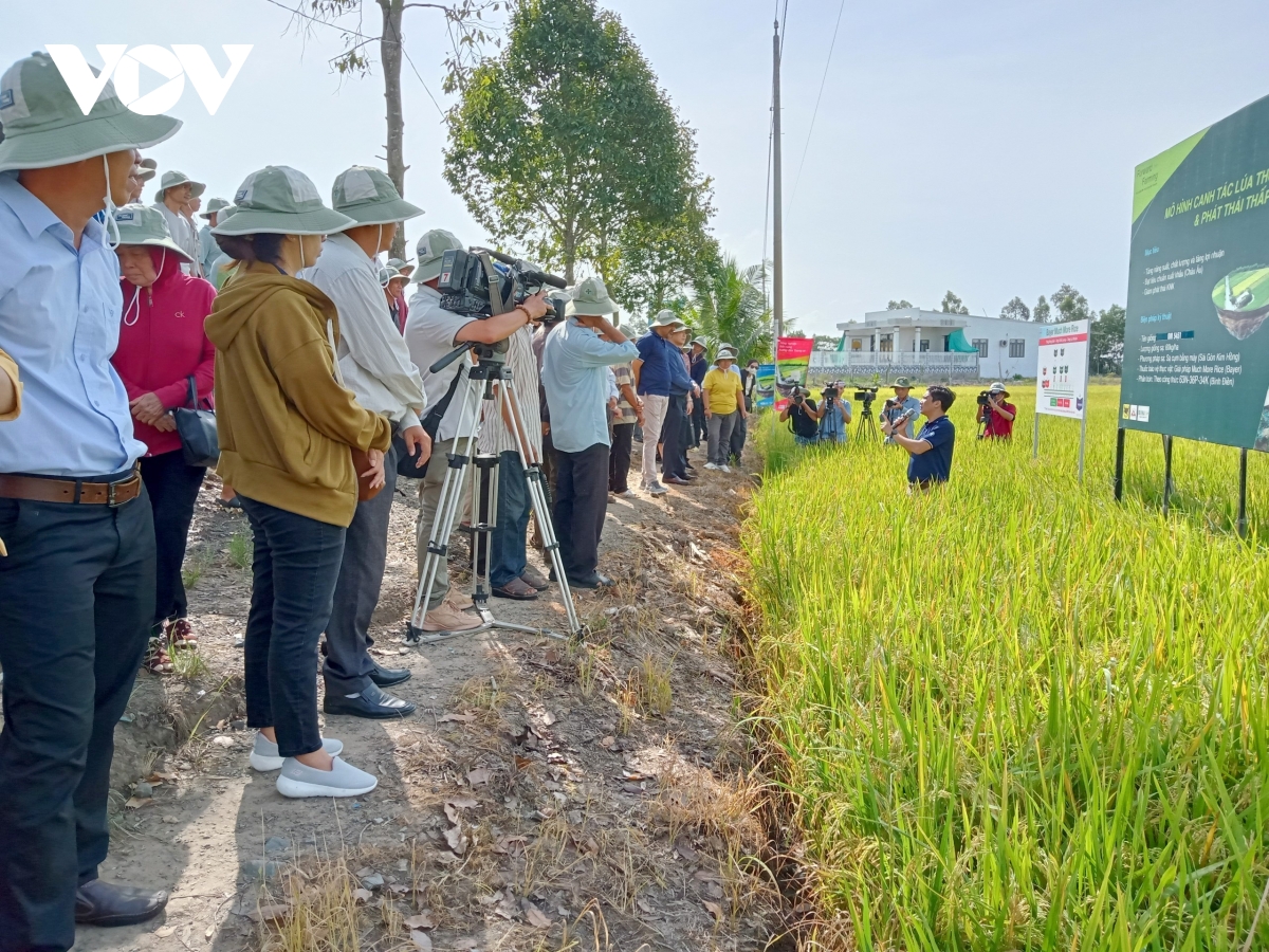 mở rộng hợp tác trong phát triển mô hình canh tác bền vững, phát thải thấp hình ảnh 2 mo rong hop tac trong phat trien mo hinh canh tac ben vung, phat thai thap hinh anh 2