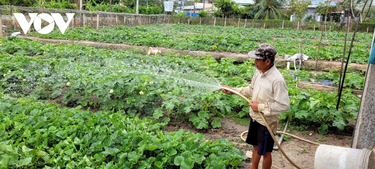 Điệp khúc dòng kênh đen vẫn tái diễn tại đô thị mỹ tho tiền giang hình ảnh 3 Diep khuc dong kenh den van tai dien tai do thi my tho tien giang hinh anh 3