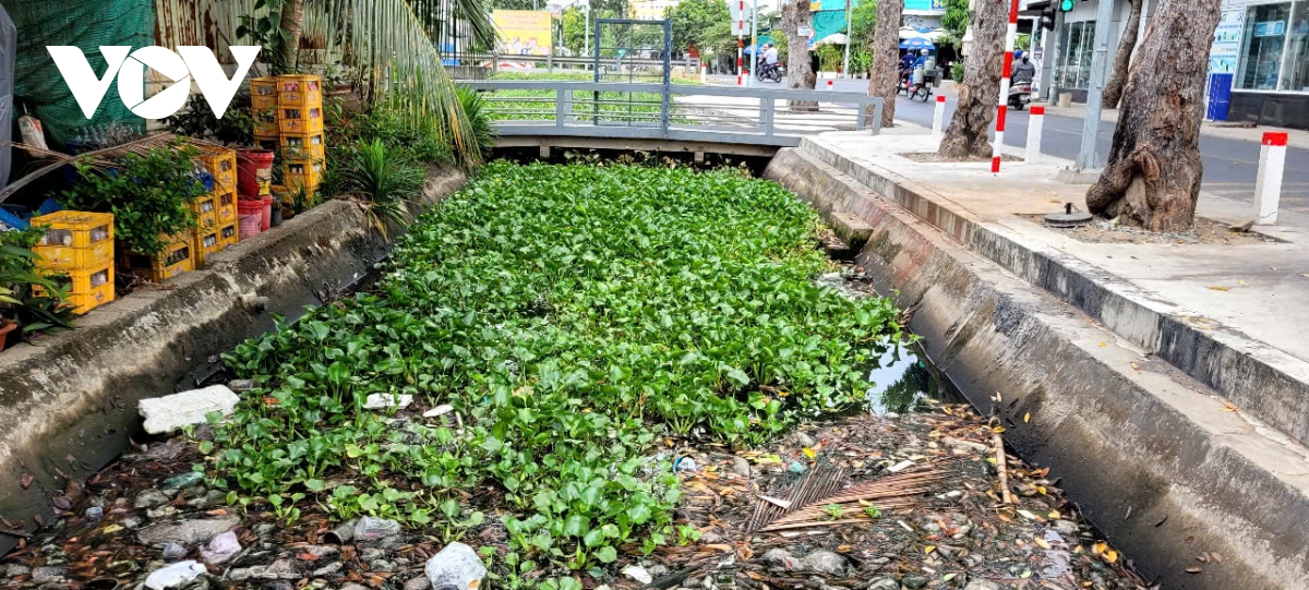 Điệp khúc dòng kênh đen vẫn tái diễn tại đô thị mỹ tho tiền giang hình ảnh 6 Diep khuc dong kenh den van tai dien tai do thi my tho tien giang hinh anh 6