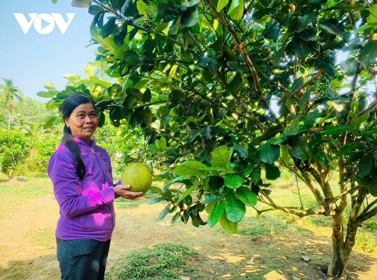 giảm nghèo ở vùng biên giới nam giang, quảng nam hình ảnh 2 giam ngheo o vung bien gioi nam giang, quang nam hinh anh 2