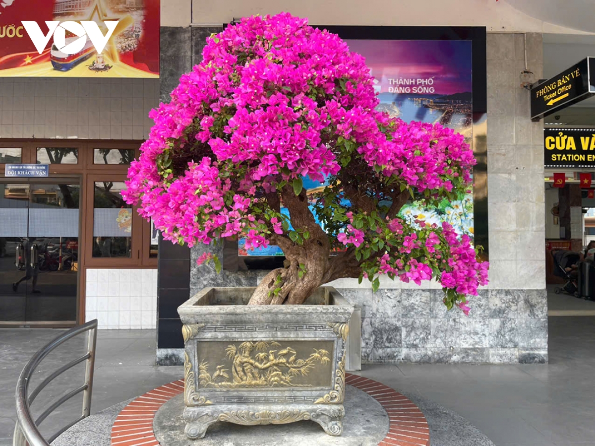 Đoàn tàu thống nhất - kết nối triệu trái tim sẽ gặp nhau tại Đà nẵng trưa 30 4 hình ảnh 4 Doan tau thong nhat - ket noi trieu trai tim se gap nhau tai Da nang trua 30 4 hinh anh 4