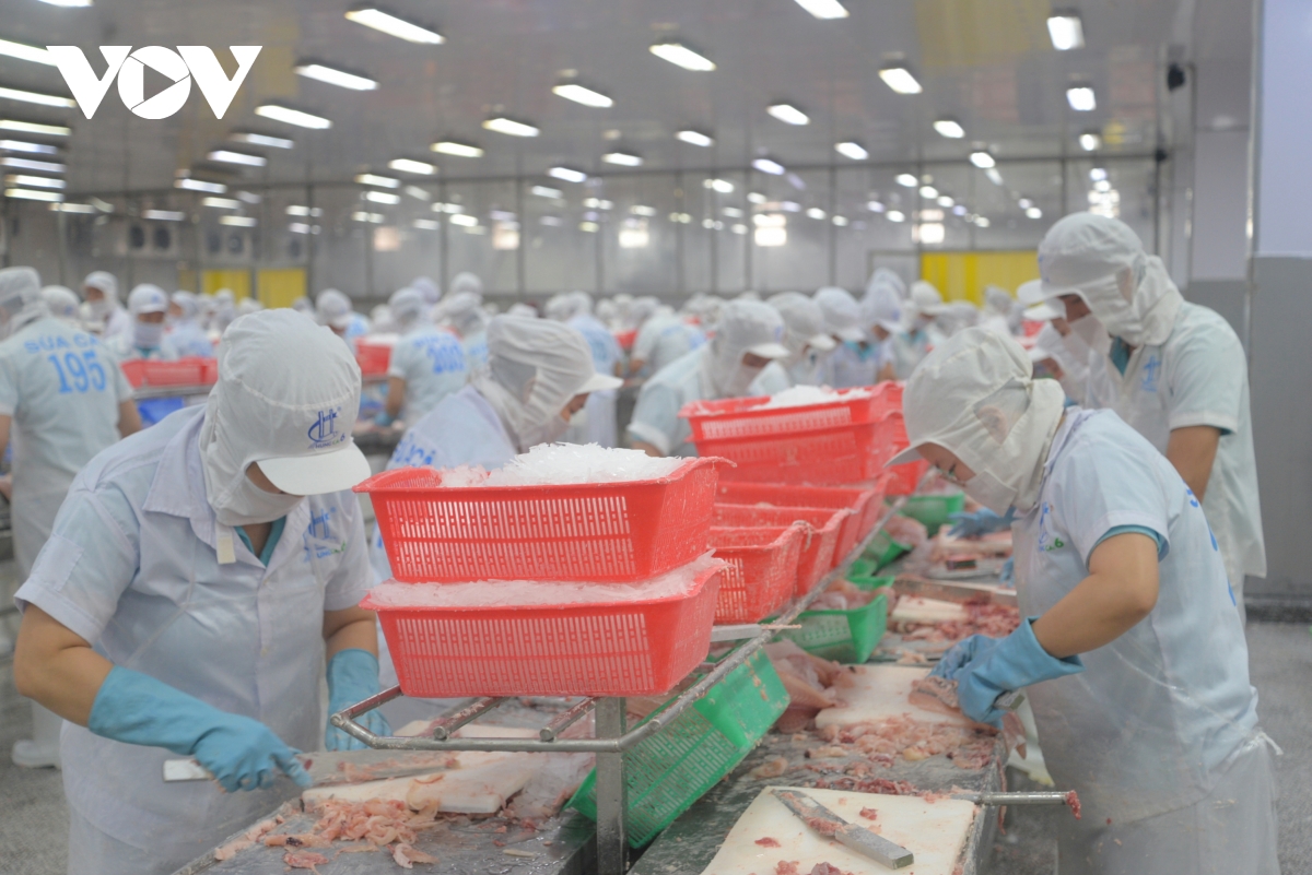 nông nghiệp vùng Đbscl khẳng định vị thế xuất khẩu hình ảnh 8 nong nghiep vung Dbscl khang dinh vi the xuat khau hinh anh 8