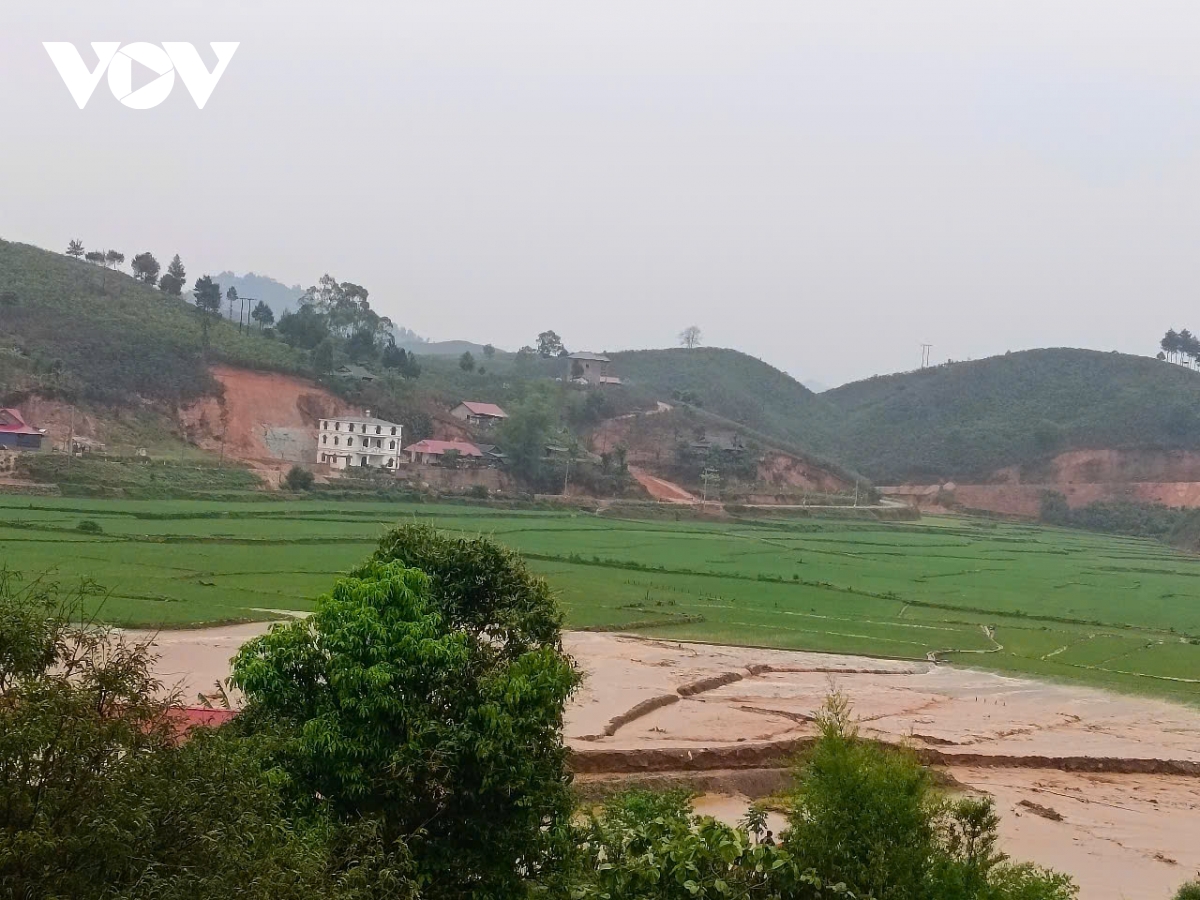mưa lớn khiến lũ dâng, nhiều diện tích đất nông nghiệp ở sơn la bị thiệt hại hình ảnh 1 mua lon khien lu dang, nhieu dien tich dat nong nghiep o son la bi thiet hai hinh anh 1