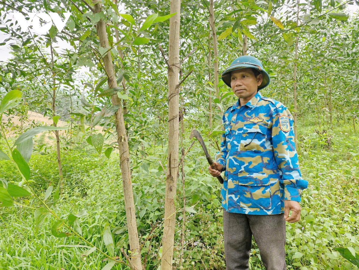 huyện miền núi nam giang chủ động phòng chống, cháy rừng hình ảnh 1 huyen mien nui nam giang chu dong phong chong, chay rung hinh anh 1