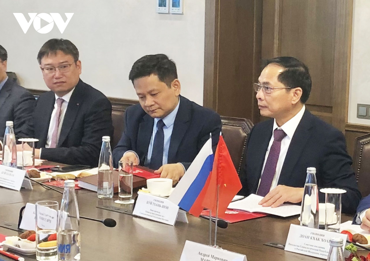 phó thủ tướng bùi thanh sơn hội kiến chủ tịch thượng viện nga valentina matvienco hình ảnh 5 pho thu tuong bui thanh son hoi kien chu tich thuong vien nga valentina matvienco hinh anh 5