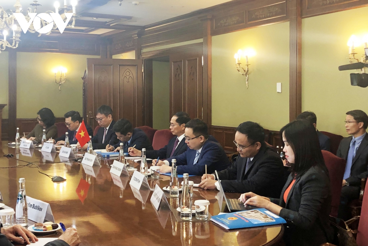 phó thủ tướng bùi thanh sơn hội kiến chủ tịch thượng viện nga valentina matvienco hình ảnh 4 pho thu tuong bui thanh son hoi kien chu tich thuong vien nga valentina matvienco hinh anh 4