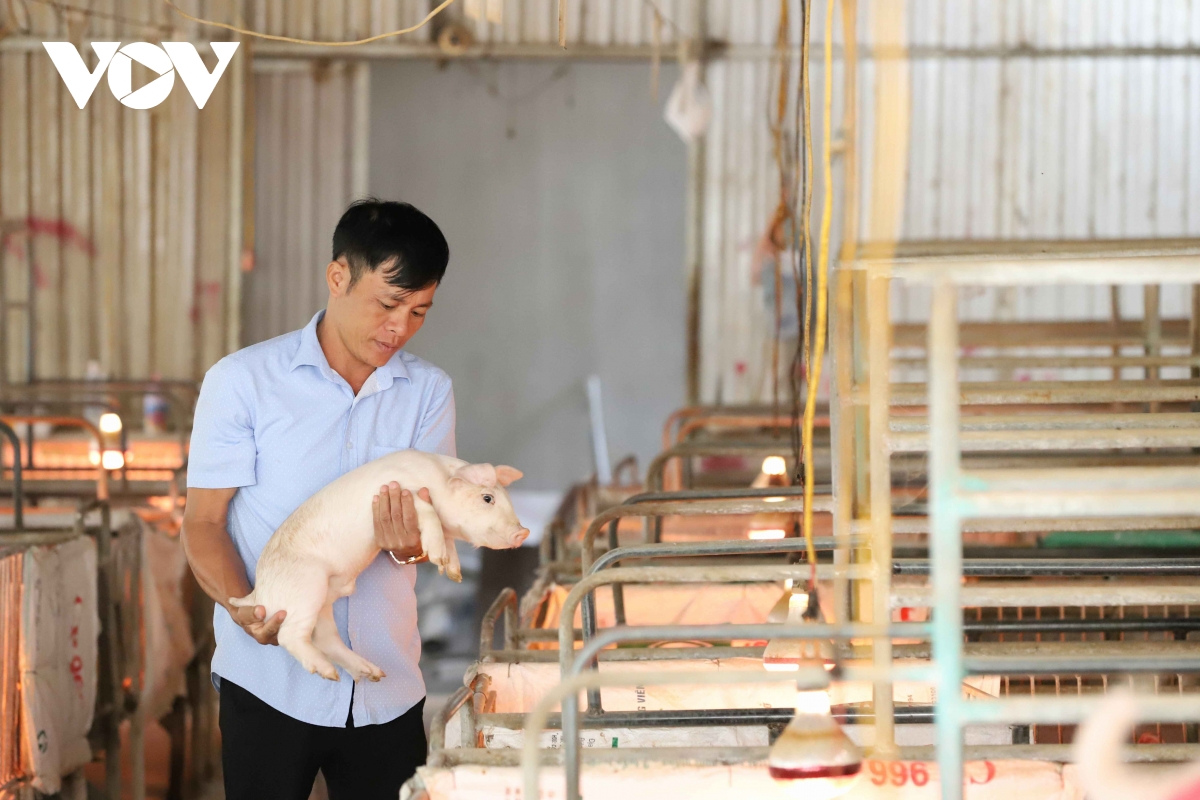 sơn la phòng chống bệnh dịch cho đàn vật nuôi khi thời tiết giao mùa hình ảnh 2 son la phong chong benh dich cho dan vat nuoi khi thoi tiet giao mua hinh anh 2