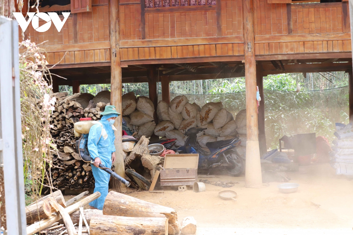 sơn la phòng chống bệnh dịch cho đàn vật nuôi khi thời tiết giao mùa hình ảnh 4 son la phong chong benh dich cho dan vat nuoi khi thoi tiet giao mua hinh anh 4