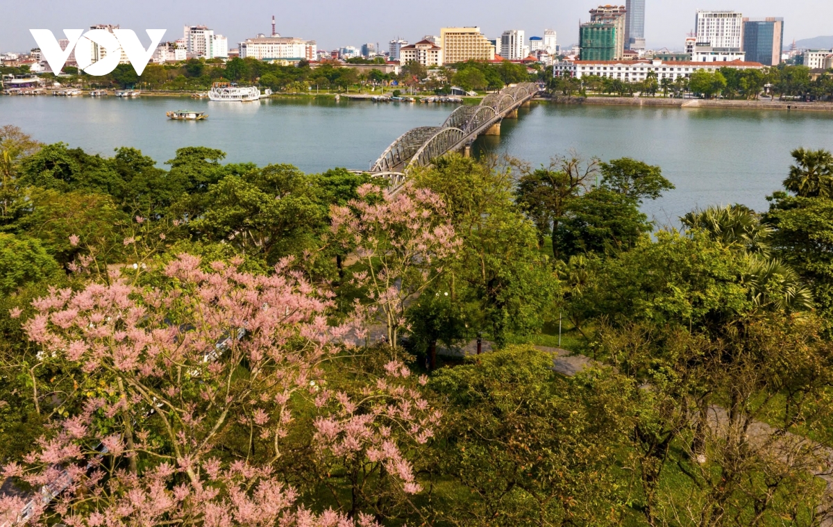 ngắm vương giả chi hoa khoe sắc trong quần thể di tích cố đô huế hình ảnh 6 ngam vuong gia chi hoa khoe sac trong quan the di tich co do hue hinh anh 6